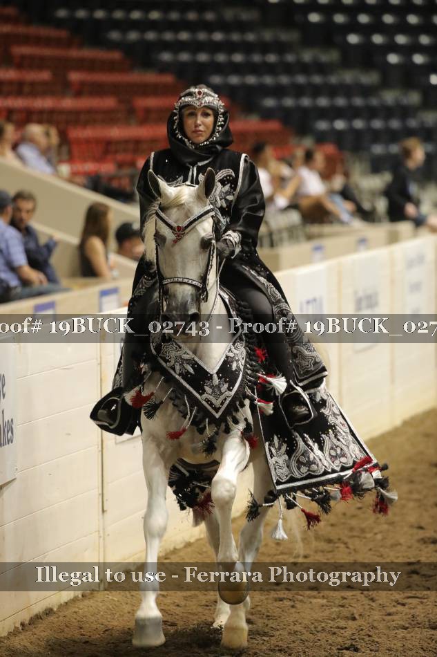 Proof 19BUCK_02743