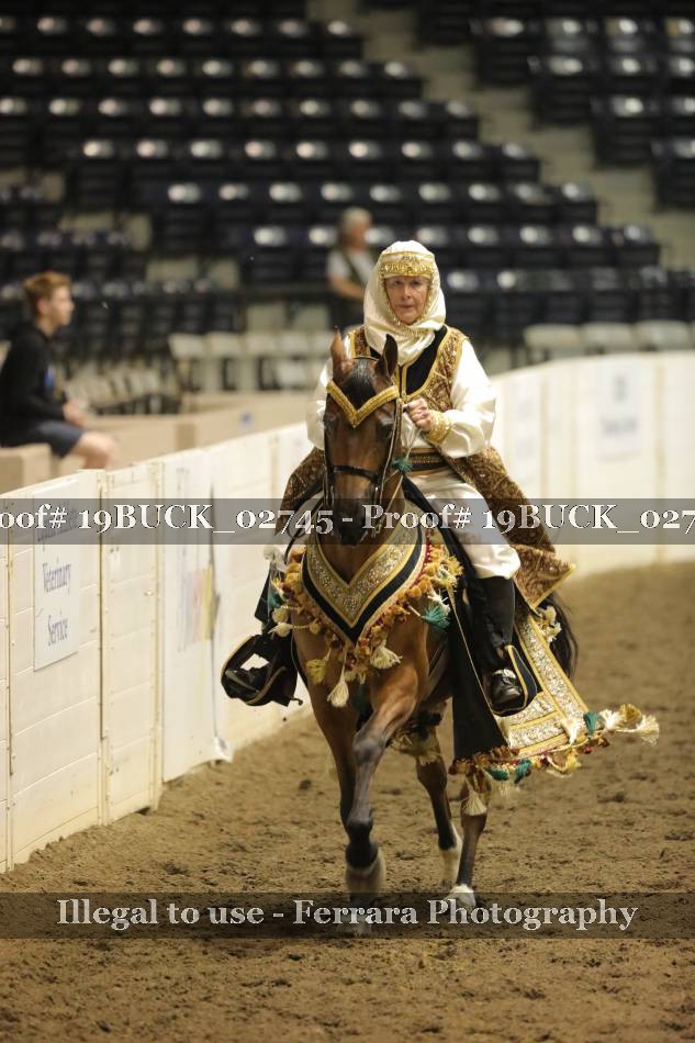 Proof 19BUCK_02745