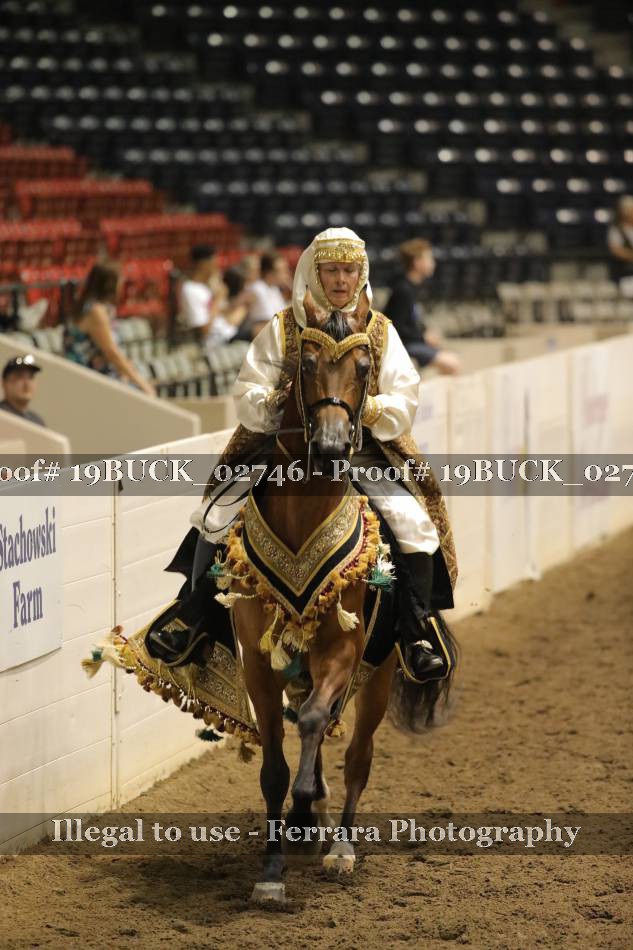 Proof 19BUCK_02746