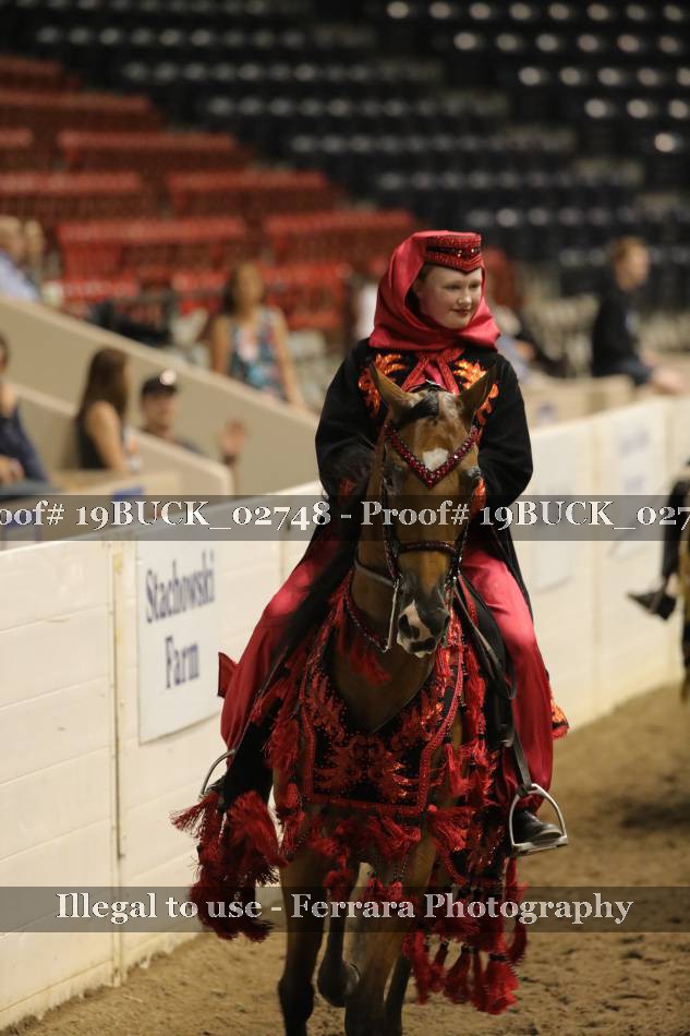 Proof 19BUCK_02748