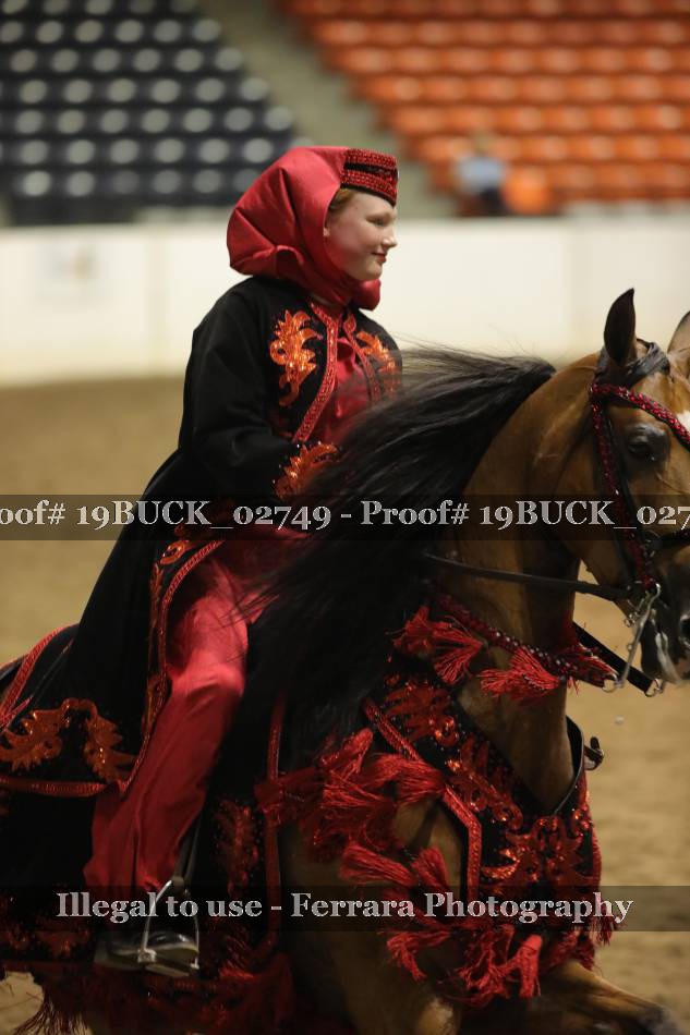 Proof 19BUCK_02749