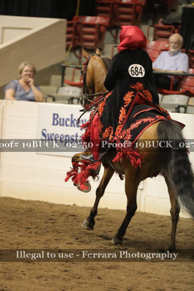 Proof 19BUCK_02750