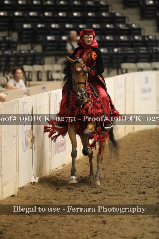 Proof 19BUCK_02751