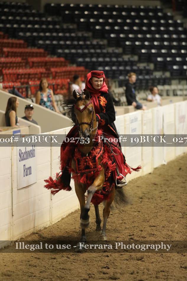 Proof 19BUCK_02753