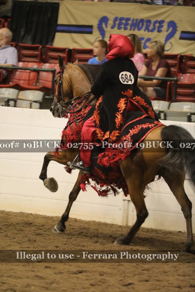 Proof 19BUCK_02755