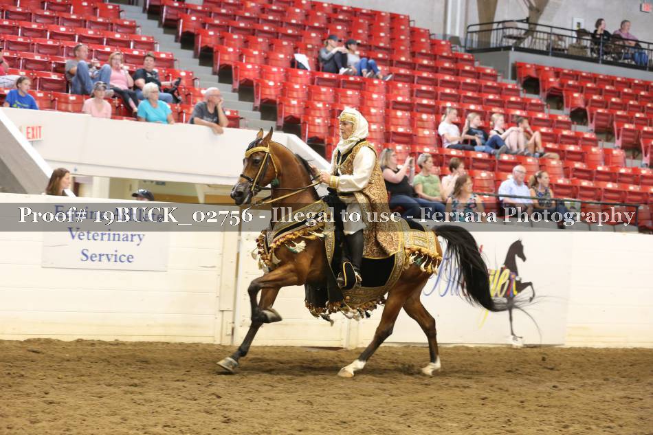 Proof 19BUCK_02756