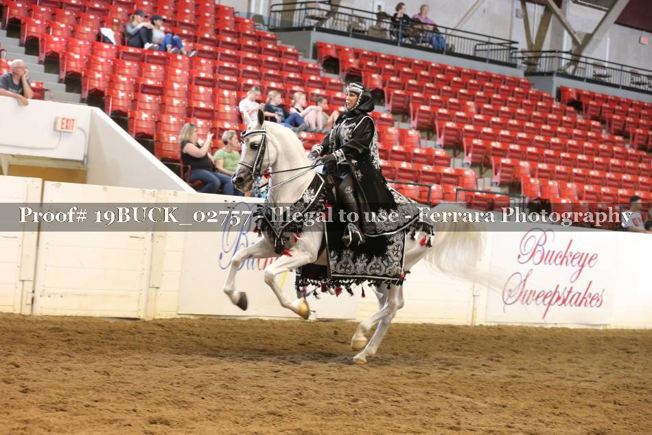 Proof 19BUCK_02757