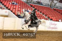 19BUCK_02757 proof