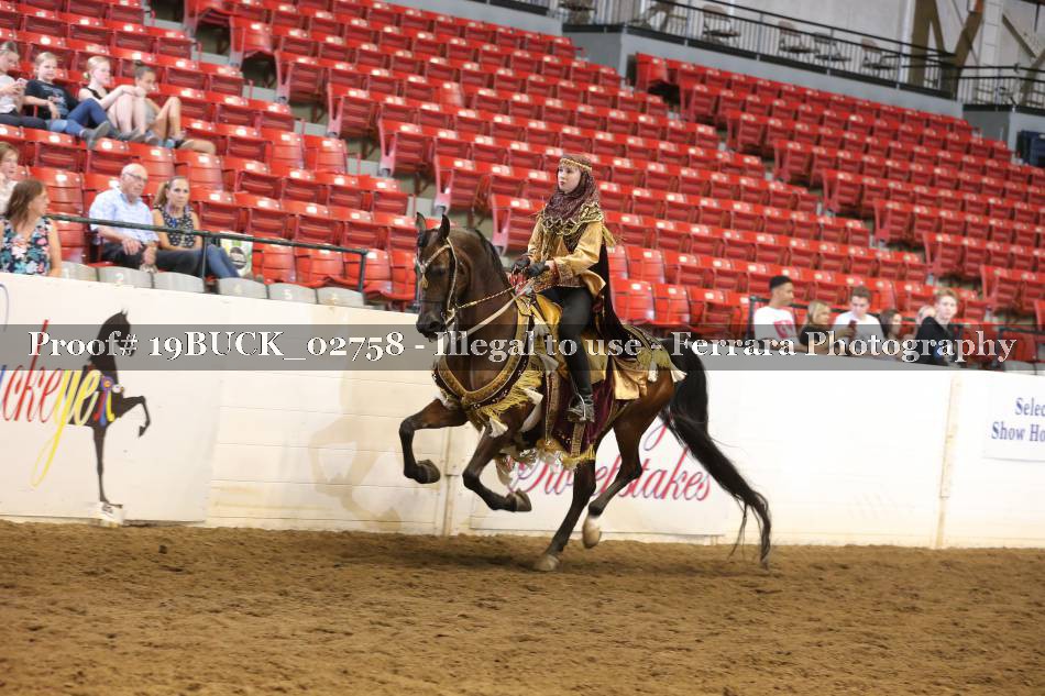 Proof 19BUCK_02758