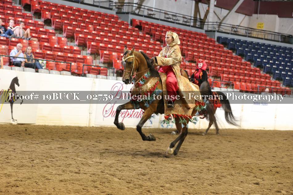 Proof 19BUCK_02759