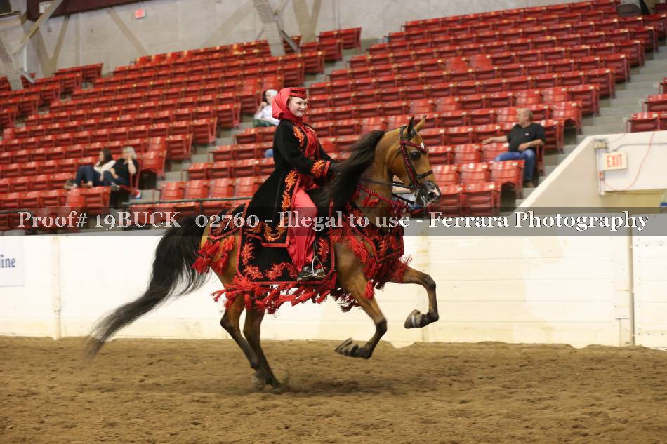 Proof 19BUCK_02760