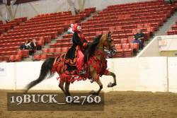 19BUCK_02760 proof