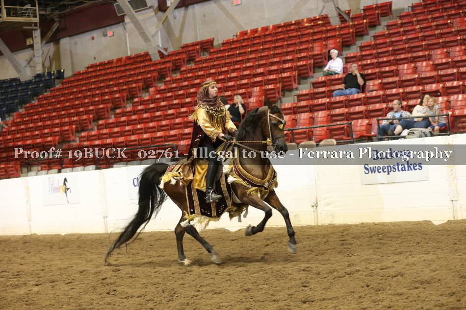 Proof 19BUCK_02761