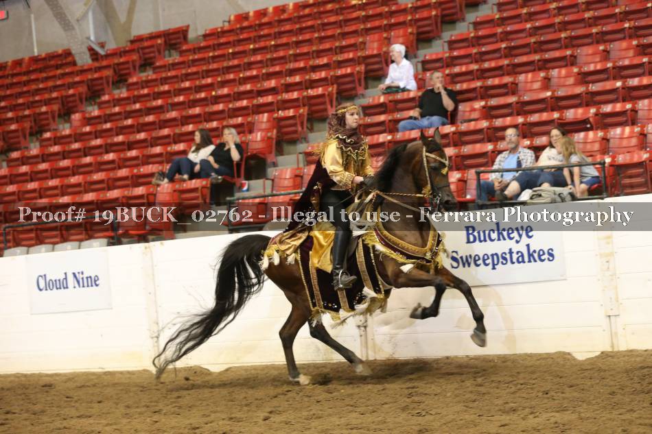 Proof 19BUCK_02762