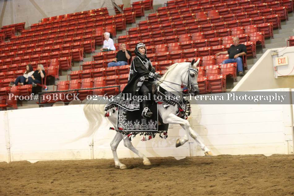 Proof 19BUCK_02763