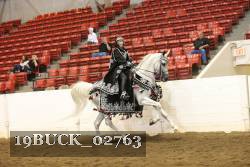19BUCK_02763 proof