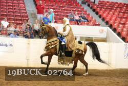19BUCK_02764 proof