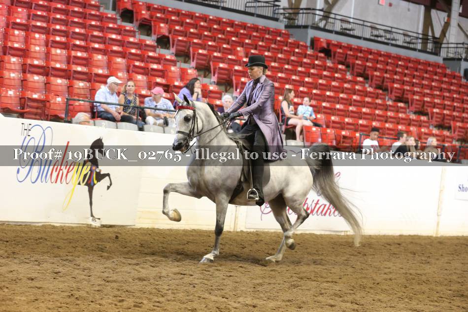 Proof 19BUCK_02765