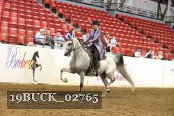 19BUCK_02765 proof