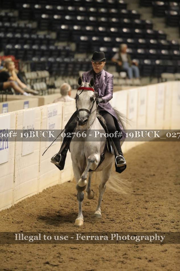 Proof 19BUCK_02766