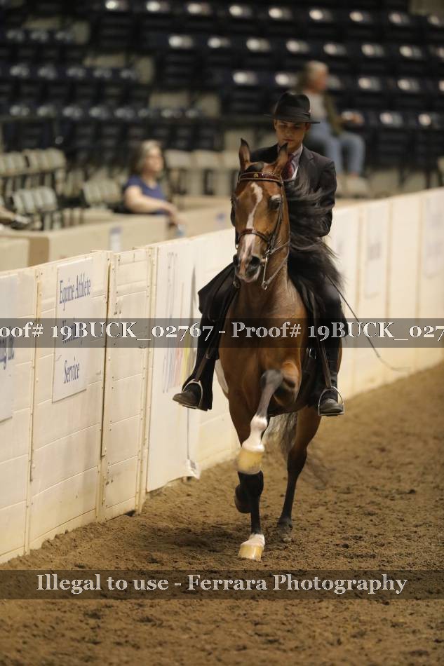 Proof 19BUCK_02767