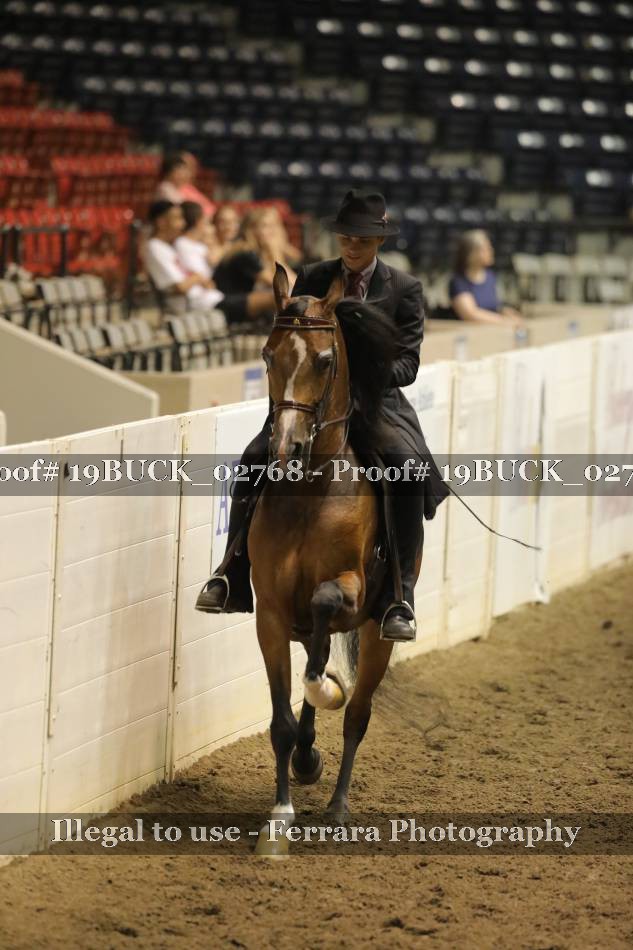 Proof 19BUCK_02768