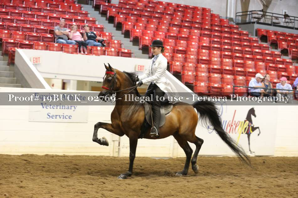 Proof 19BUCK_02769