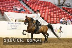 19BUCK_02769 proof
