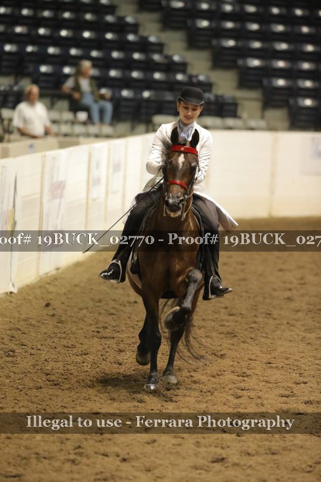 Proof 19BUCK_02770