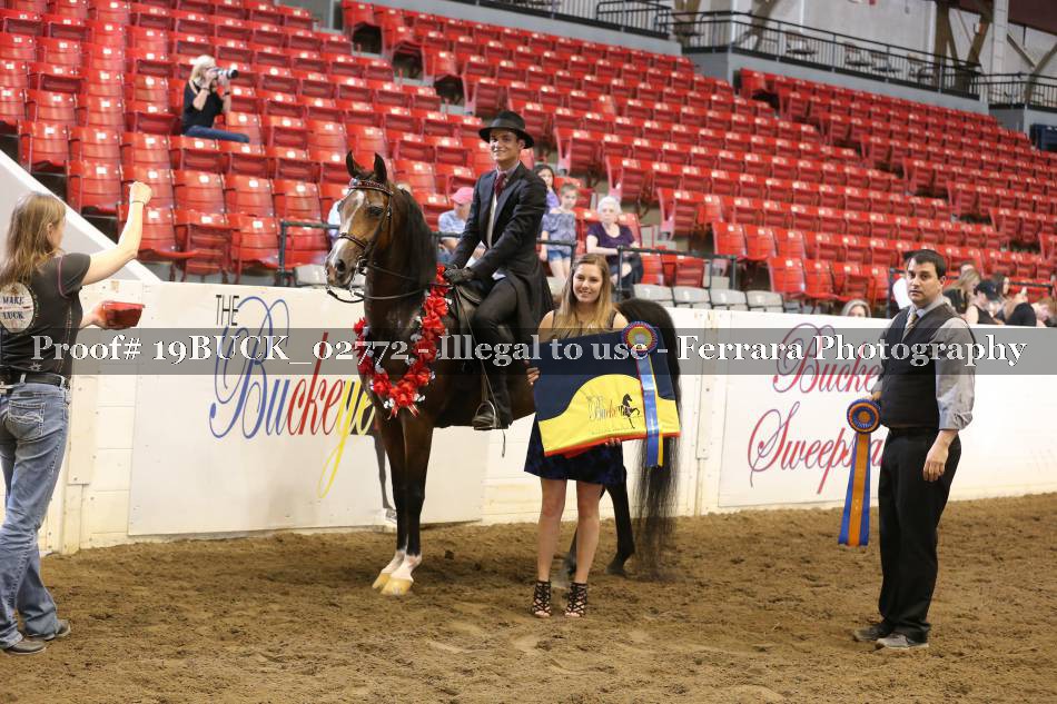 Proof 19BUCK_02772