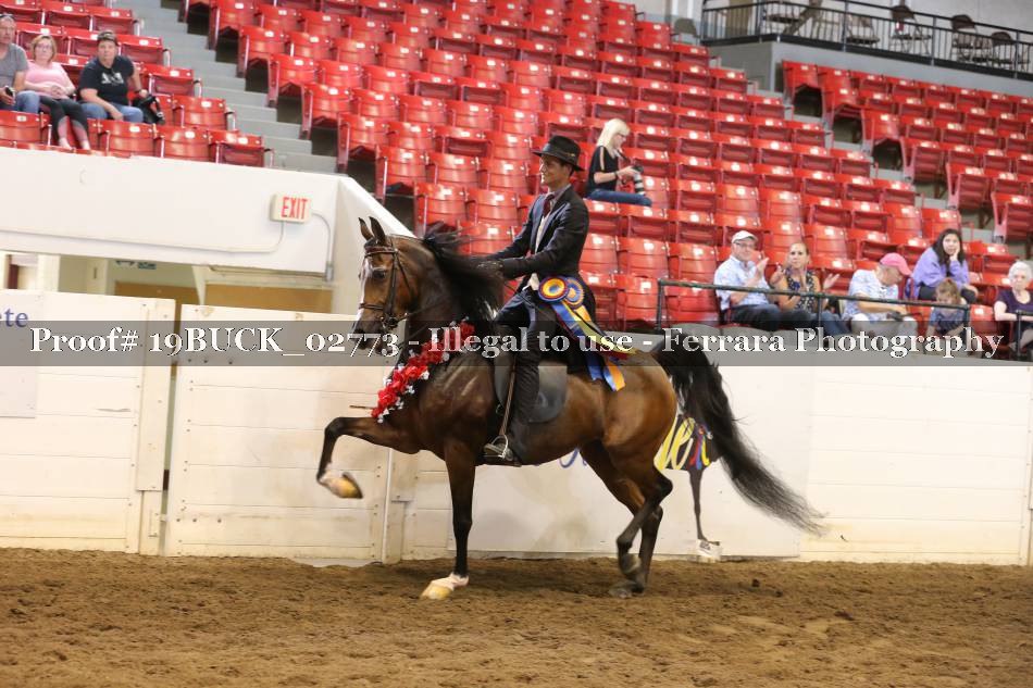 Proof 19BUCK_02773