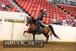 19BUCK_02773 proof