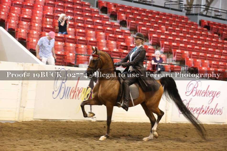 Proof 19BUCK_02774