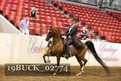 19BUCK_02774 proof