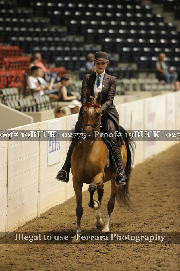 Proof 19BUCK_02775