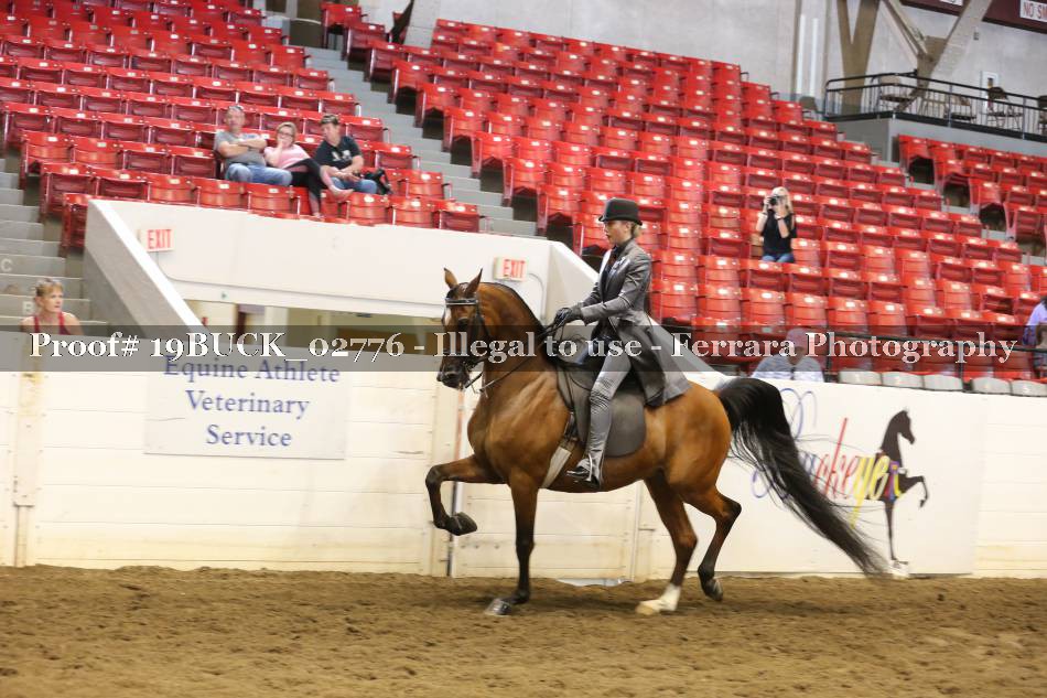 Proof 19BUCK_02776