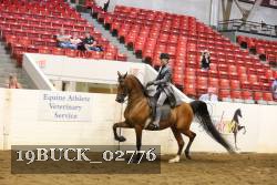 19BUCK_02776 proof