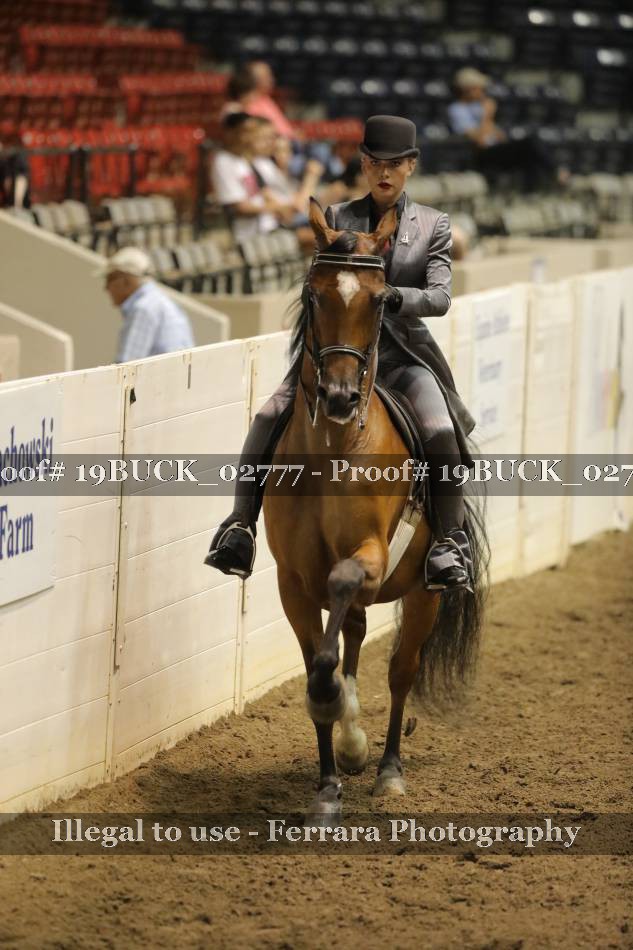 Proof 19BUCK_02777