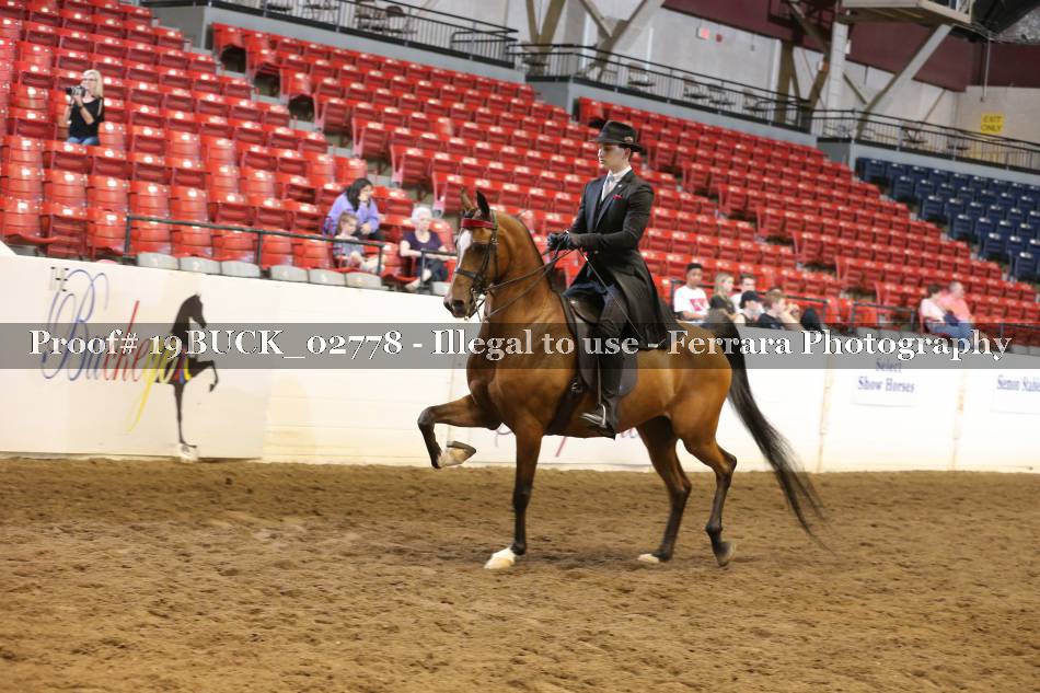Proof 19BUCK_02778