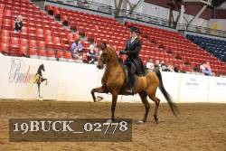 19BUCK_02778 proof