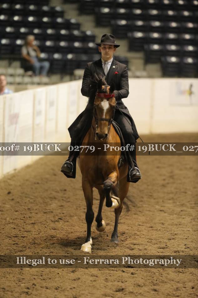 Proof 19BUCK_02779