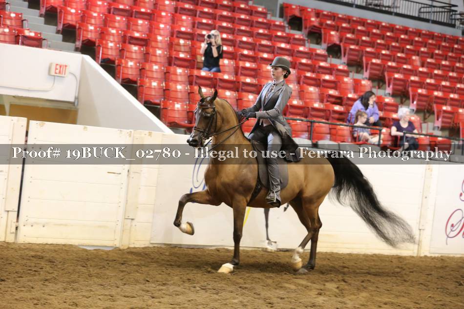 Proof 19BUCK_02780