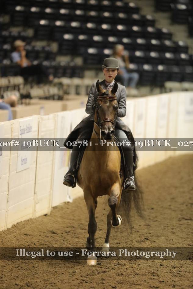 Proof 19BUCK_02781