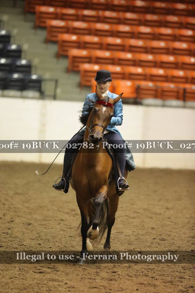 Proof 19BUCK_02782