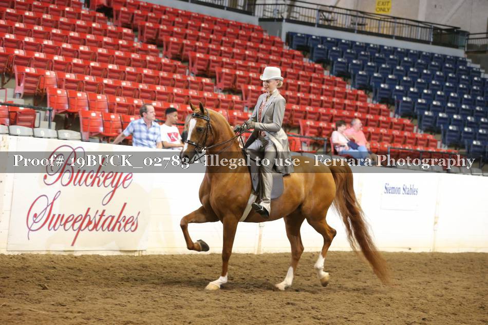 Proof 19BUCK_02783
