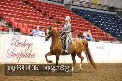19BUCK_02783 proof