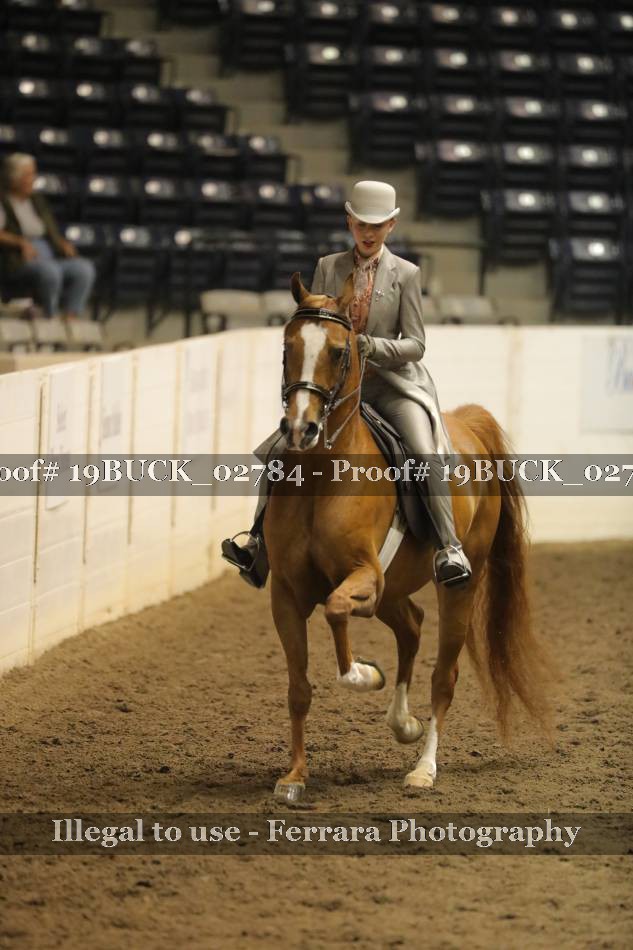 Proof 19BUCK_02784
