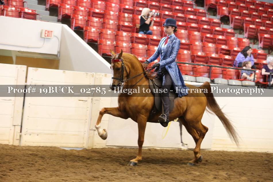 Proof 19BUCK_02785