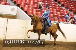 19BUCK_02785 proof