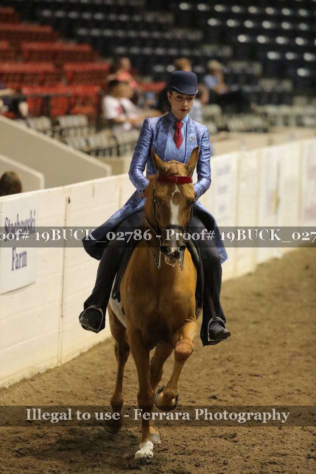 Proof 19BUCK_02786